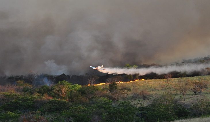 Até a noite de sexta-feira (10), um total de 8.875 hectares já haviam sido queimados