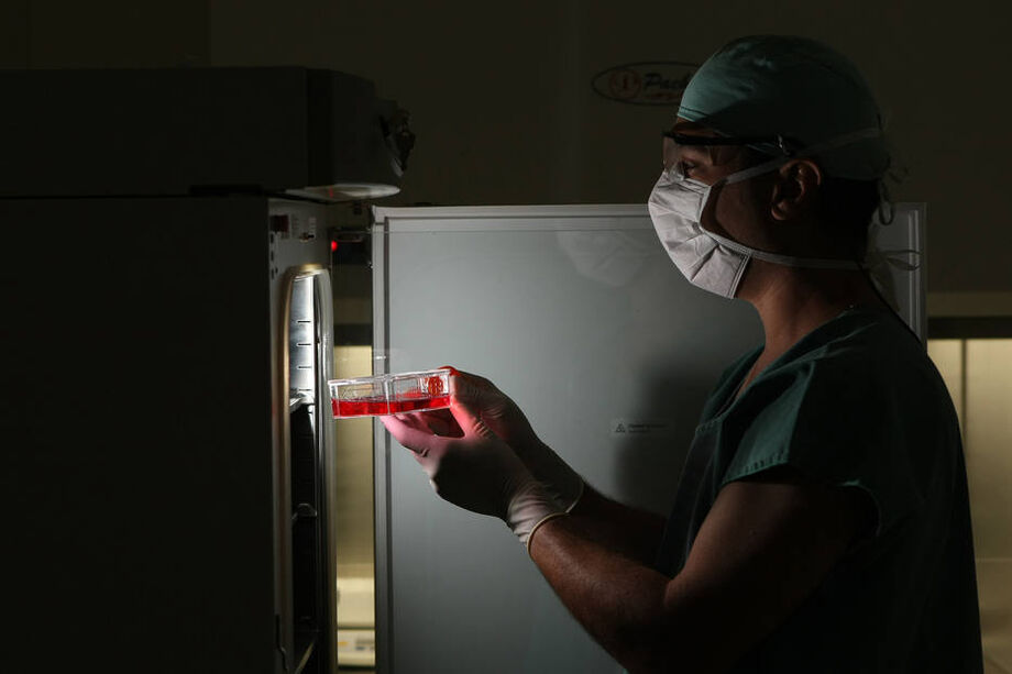 Número de doações de medula óssea cai 30% devido à pandemia