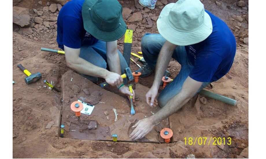Vespersaurus paranaensis foi uma espécie de dinossauro de pequeno porte, com 1,5 metros de comprimento