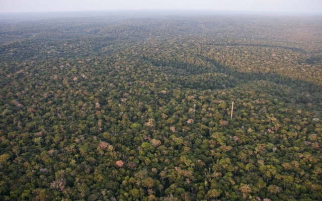 O Mais Luz para a Amazônia visa estimular a instalação de painéis solares e baterias nas regiões isoladas da Amazônia