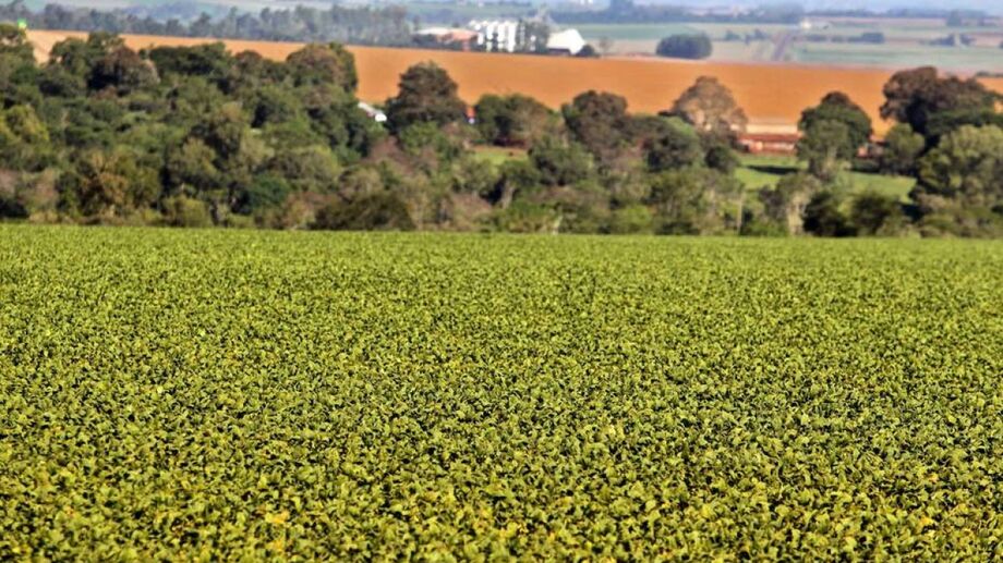 agropecuária alcance novo recorde em 2020, ultrapassando a receita de R$ 823 bilhões