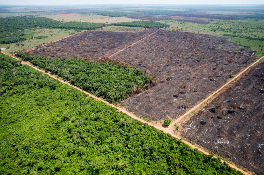 Coalizão Brasil Clima apresentou ao governo seis propostas para conter o desmatamento na Amazônia
