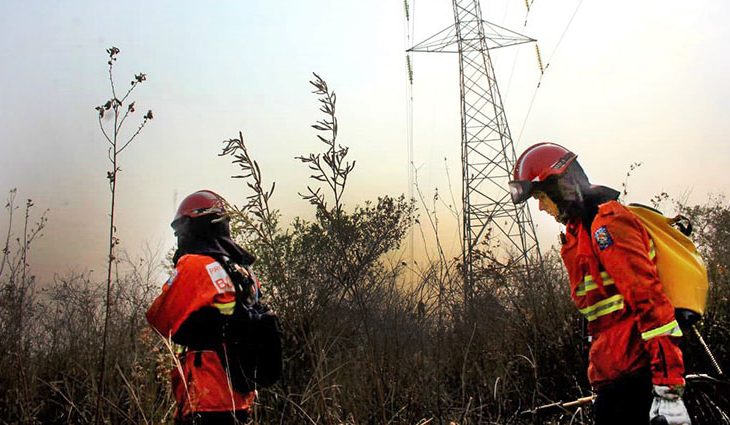 Bombeiros de Mato Grosso do Sul e do Paraná retomaram o combate aos focos de calor na região do Porto da Manga, Pantanal do Nhecolandia, em Corumbá, na manhã desta quinta-feira (17)