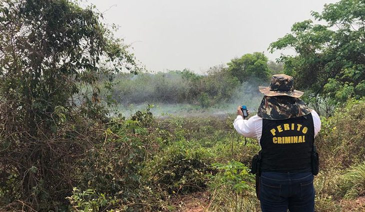 No total, 35 fazendas das regiões do Nabileque e Nhecolândia serão visitadas