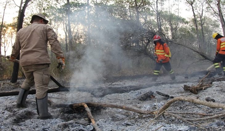 O fogo no Parque Estadual das Nascentes do Rio Taquari já foi controlado e o número de focos de calor no Pantanal sul-mato-grossense já foi reduzido