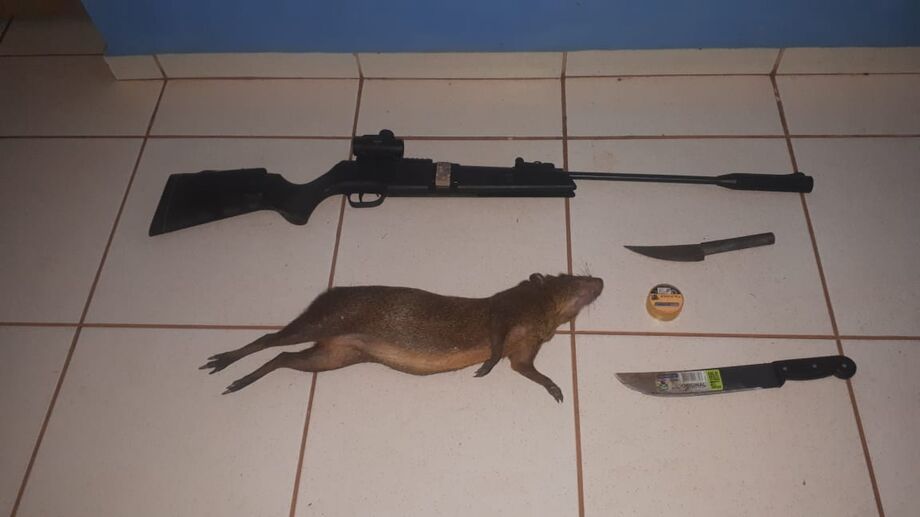 Cutia morta pelo caçador, além dos itens apreendidos
