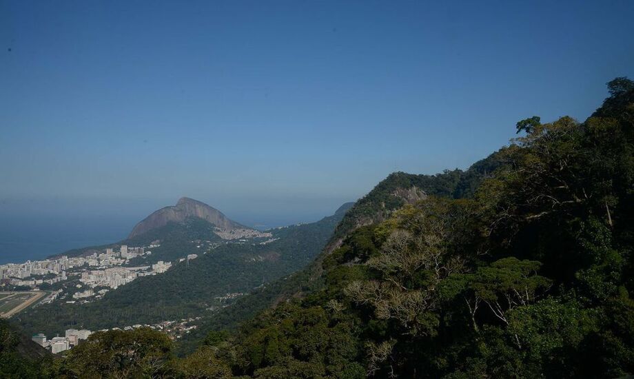 Parque Nacional da Tijuca passa a limitar o número de pessoas que acessam a trilha Parque Lage-Corcovado durante os fins de semana