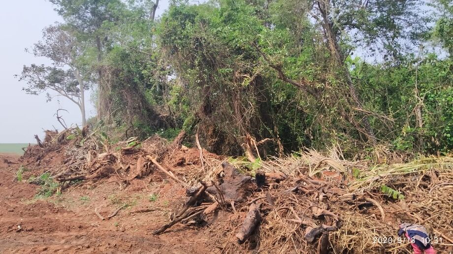 Agentes da Polícia Militar Ambiental autuaram o proprietário de uma fazenda por desmatamento sem autorização ambiental em Amambaí