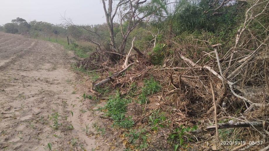 Durante fiscalização realizada ontem (19), agentes da Polícia Militar Ambiental (PMA) autuaram um pecuarista, 36, por desmatamento sem autorização ambiental em área de Mata Atlântica em sua fazenda, em Amambaí