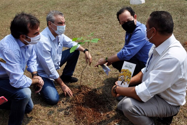 Presidentes da ALEMS e da Sanesul plantaram muda de Ipê Amarelo nos jardins da Casa de Leis