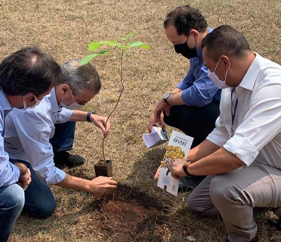 Na Assembleia Legislativa, diretores da Sanesul plantam um Ipê junto com o Deputado Paulo Corrêa, no jardim da Casa de Leis