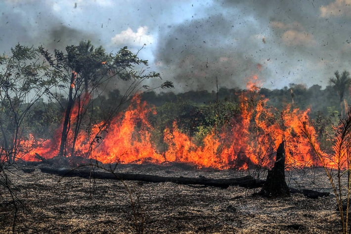 Operação Focus vistoria propriedades no Pantanal da Nhecolândia e Nabileque para identificar origem das queimadas