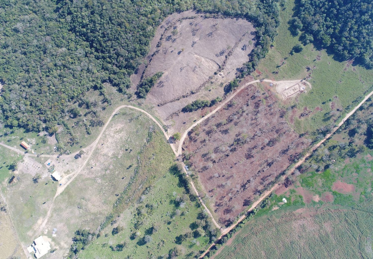 Polícia Militar Ambiental de Corumbá autua mulher de 30 anos em R$ 91,5 mil por desmatamento e exploração ilegal de madeira no Pantanal
