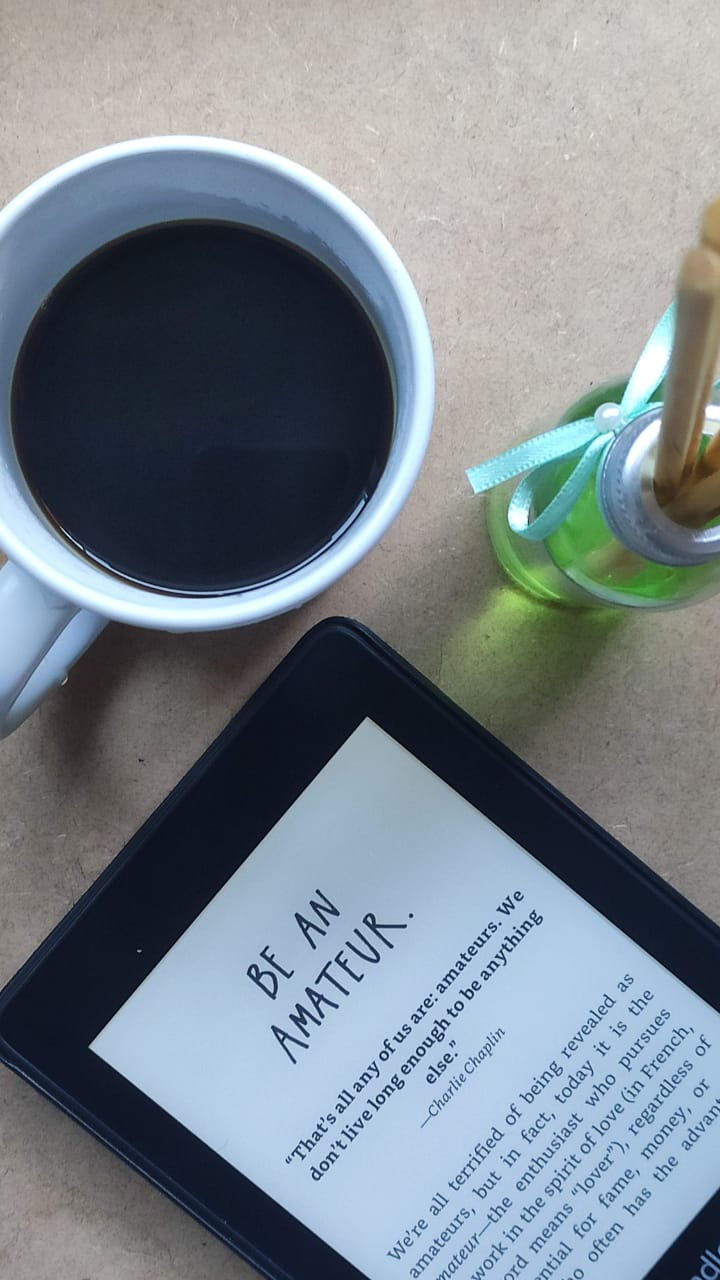 everson kindle lendo