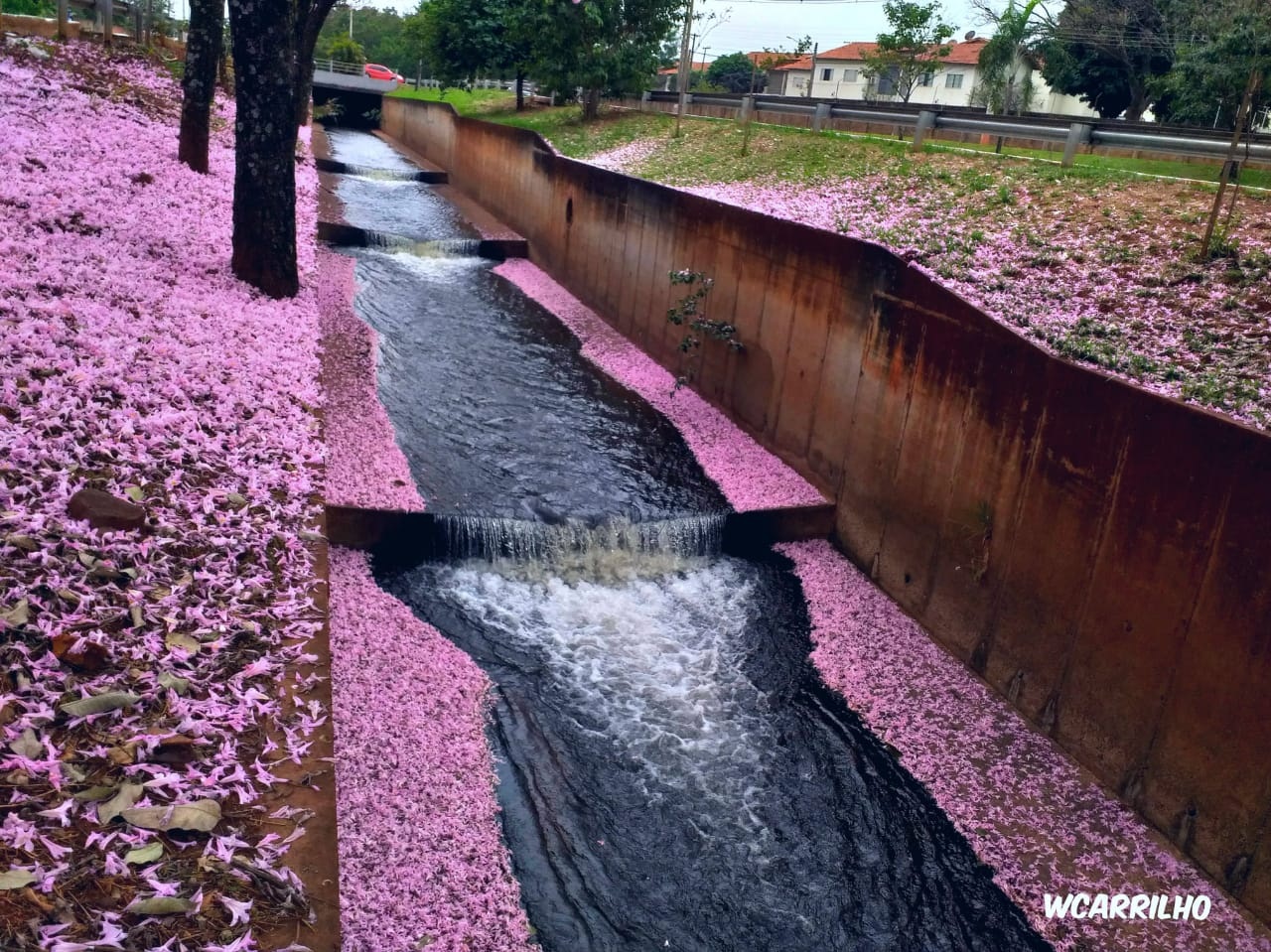 Campo Grande, também conhecida como 