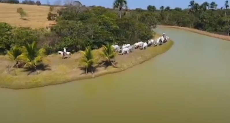 fazenda