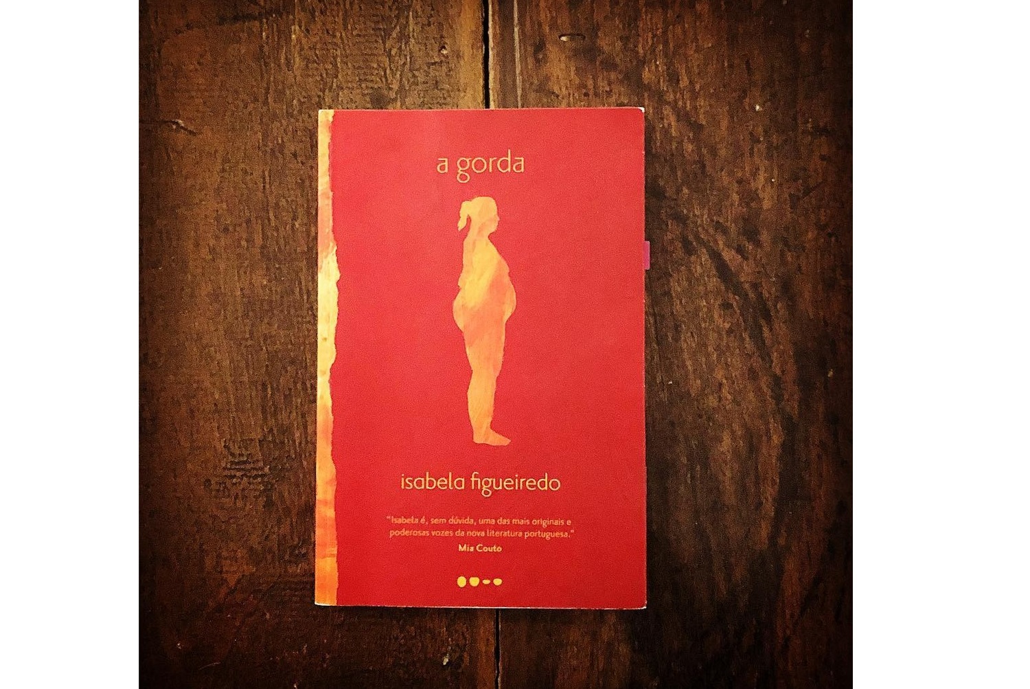 A gorda, de Isabela Figueiredo