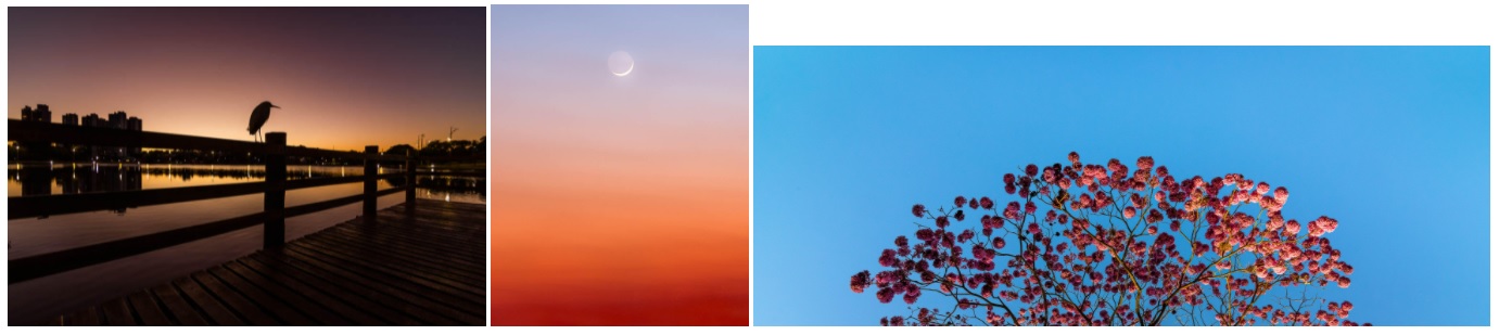 Fauna, flora e nuances do céu no Parque das Nações Indígenas.
