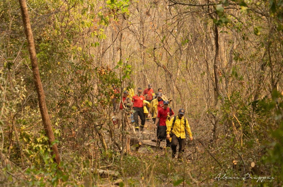 Bombeiros e brigadistas empenhados em conter o fogo no local