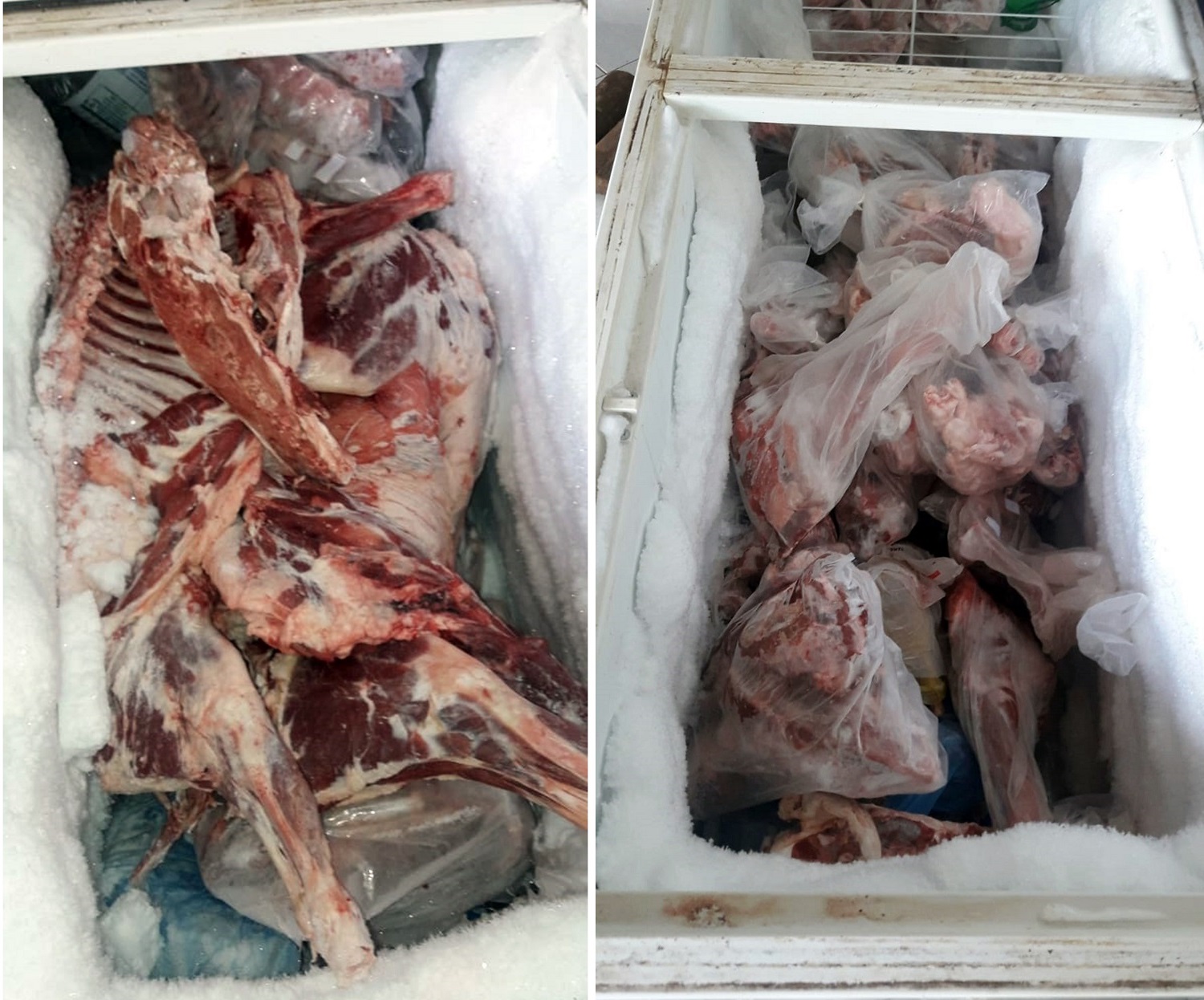 Dentro de Campo Grande, chácara é opção para comprar carnes de caprino e de cordeiro