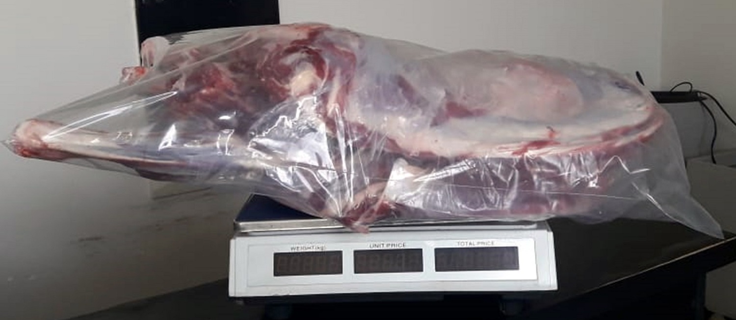 Dentro de Campo Grande, chácara é opção para comprar carnes de caprino e de cordeiro