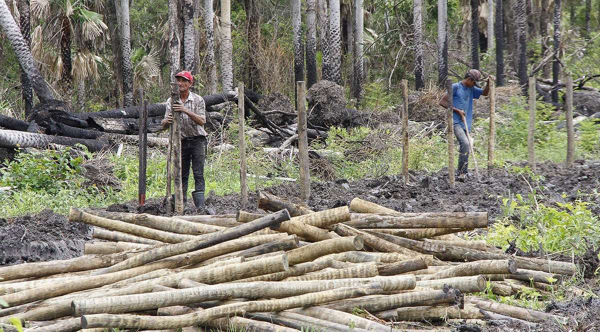 Trabalhadores instalam 48 km de cerca em meio ao barro