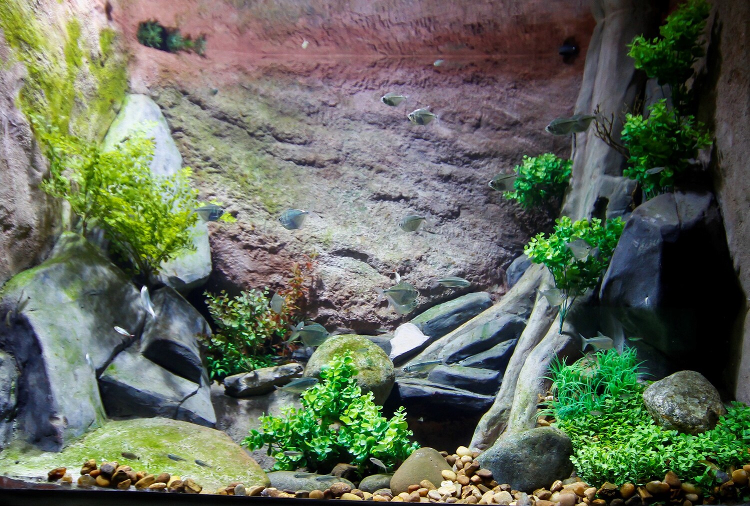 Aquário Planície Inundação Cheia/Bioparque Pantanal.