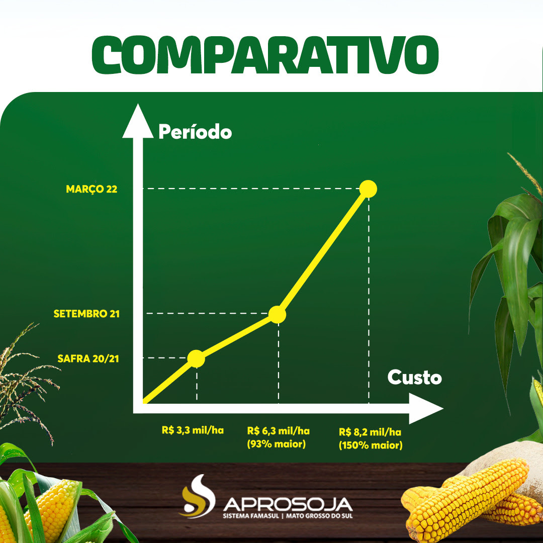 infografico milho