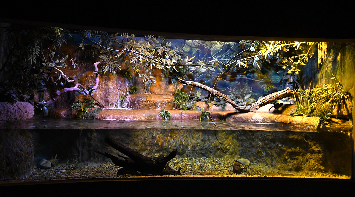 Aquário Rios de Cabeceira/Bioparque Pantanal.