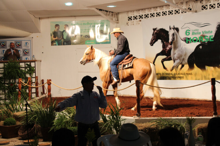 Com várias atrações, 50ª Expobel começa na sexta-feira