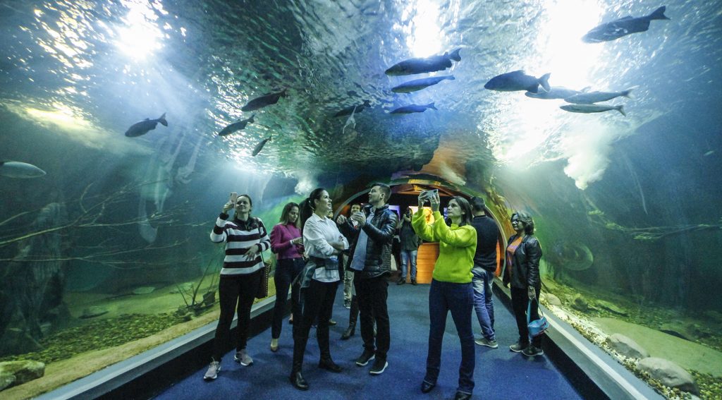 Visitações no Bioparque Pantanal