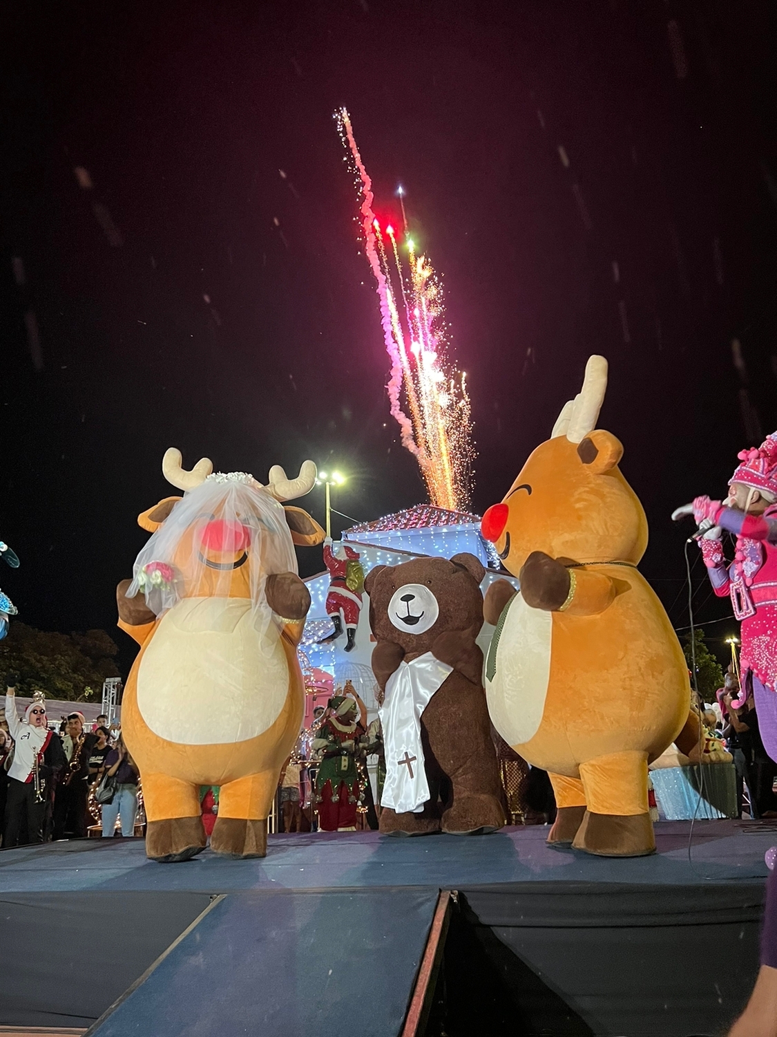 Casamento das Renas.