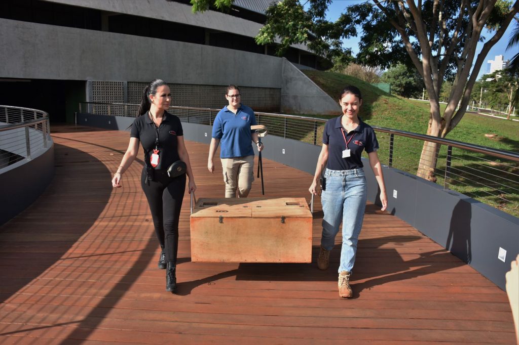 Gaby sendo levada em caixa preparada para transporte ao local onde ela toma o banho de sol