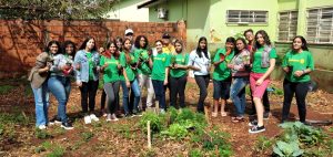 Estudos sobre solo da horta agrofloresta e horta vertical da unidade escolar foram realizados.