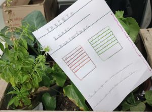 Time Bem-te-vi foi segundo colocado no Prêmio Escolar Coopera Cerrado.