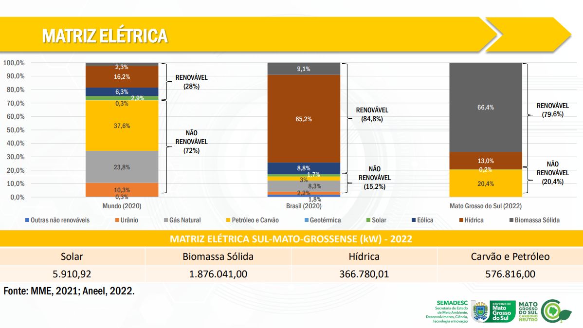 Gráfico MS Renovável.