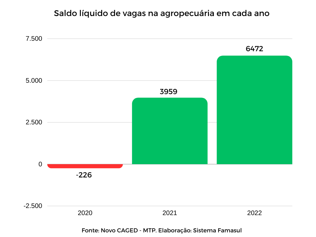 Empregos na agropecuária de MS crescem 63% em um ano