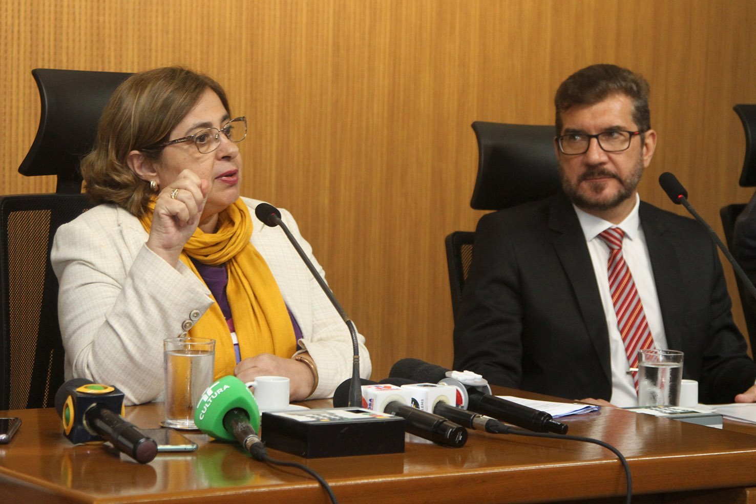  Aparecida Gonaçalves participou de audiência proposta por Kemp