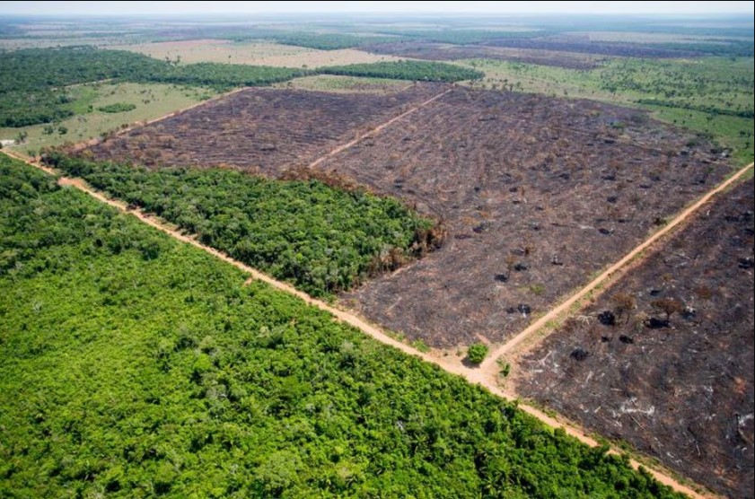 Vista área de trecho da Mata Atlântica desmatada após incêndios. 