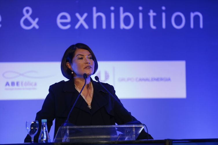 A presidente executiva da Associação Brasileira de Energia Eólica, Elbia Gannoum - Fernando Frazão/Agência Brasil