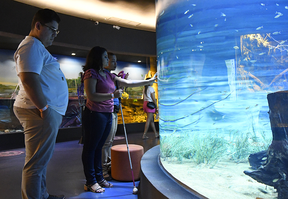 Bioparque Pantanal é acessível para pessoas com deficiência