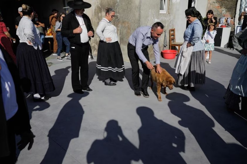 Leonel Costa brinca com Bobi, o cão mais velho do mundo, durante festa de aniversário após completar 31 anos, na aldeia rural de Conqueiros, Leiria, centro de Portugal.