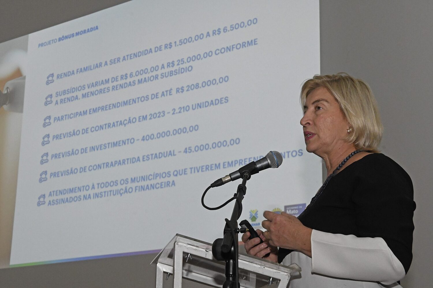 Diretora-presidente da Agehab, Maria do Carmo Avesani