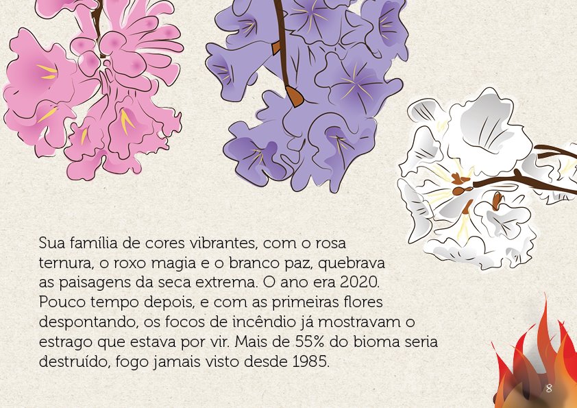 Belas e coloridas ilustrações enriquecem o livro 
