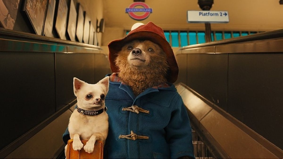  Paddington