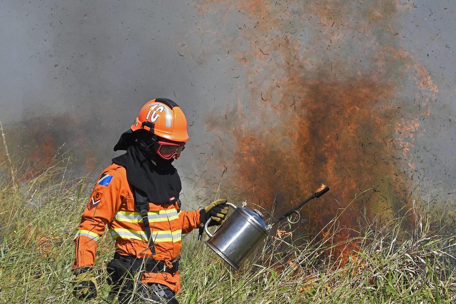 A queima controlada da área no parque reflete o momento atual de planejamento e preparação do Estado para evitar incêndios florestais de grandes proporções
