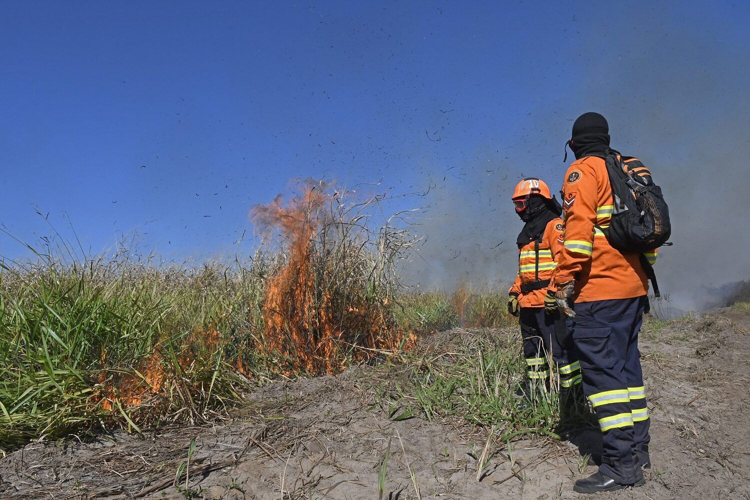 Além de atuar para evitar possíveis catástrofes naturais e contribuir para a recuperação do bioma a ação também serviu para o treinamento das equipes