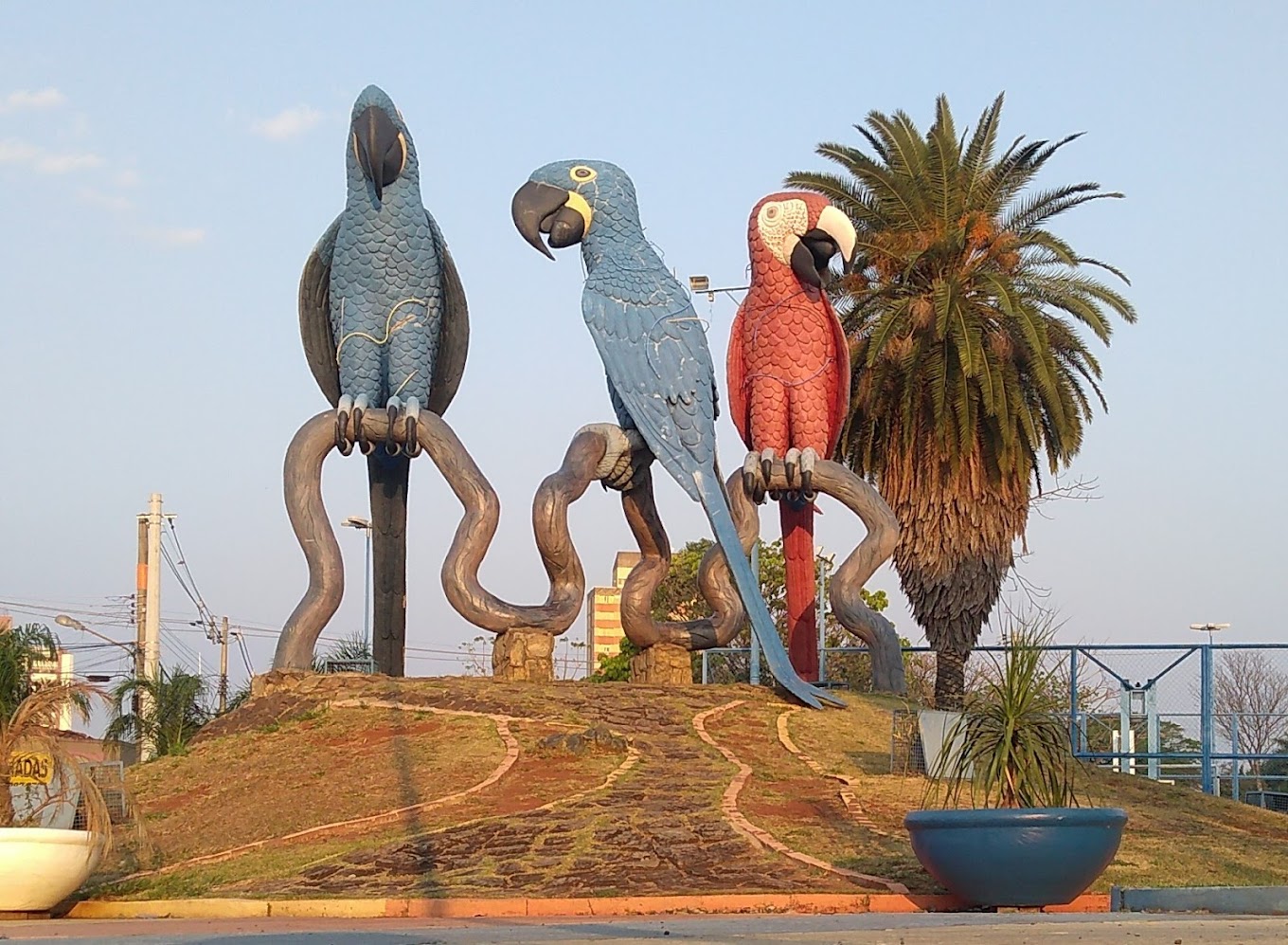 Praça das Araras