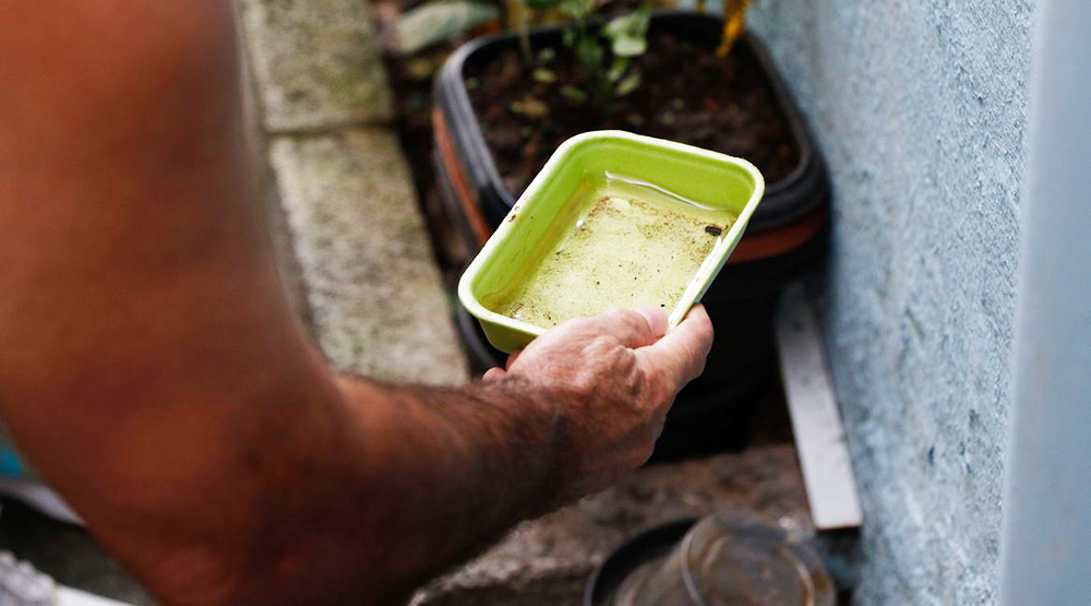 Cuidados para evitar a dengue