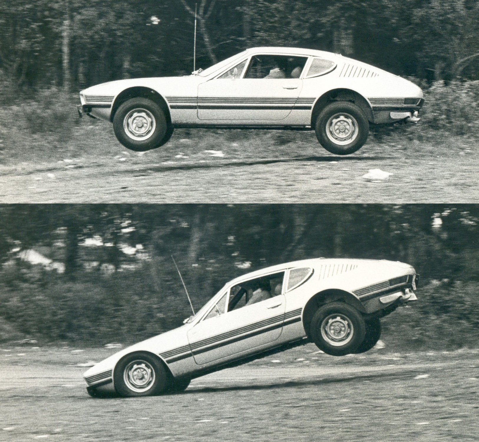 Imagem feita por Oswaldo Luiz Palermo